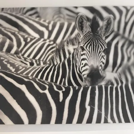 Timeless Elegance Boutique For Two * פורטו